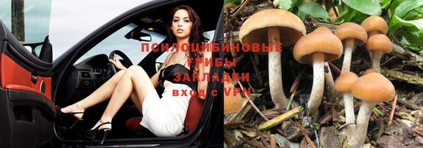 каннабис Абаза