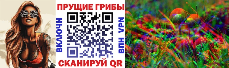 Галлюциногенные грибы GOLDEN TEACHER  даркнет формула  OMG ссылка  Железногорск-Илимский  что такое  